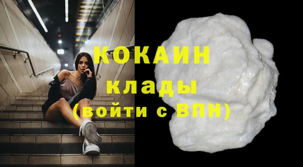 гидра Бородино