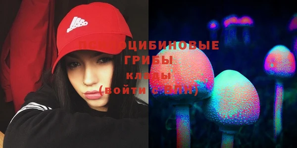 гидра Бородино