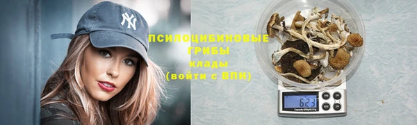 тгк Бронницы