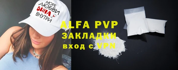 гидра Бородино