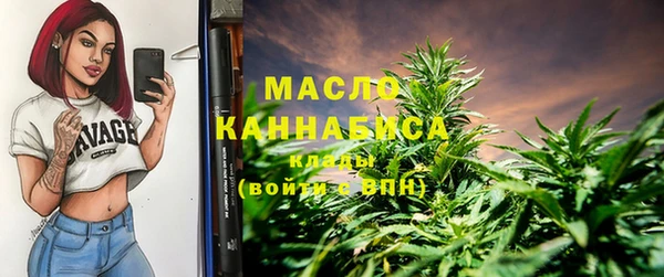 гидра Бородино