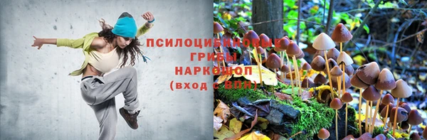 гидра Бородино
