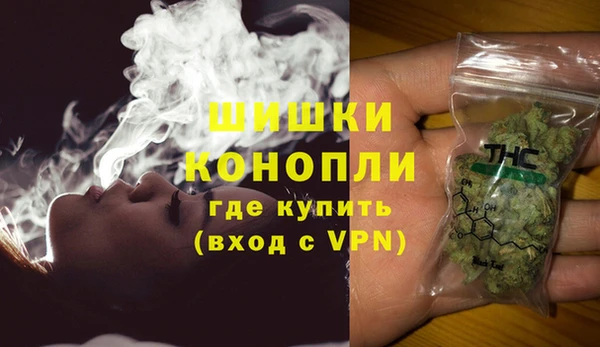 гидра Бородино