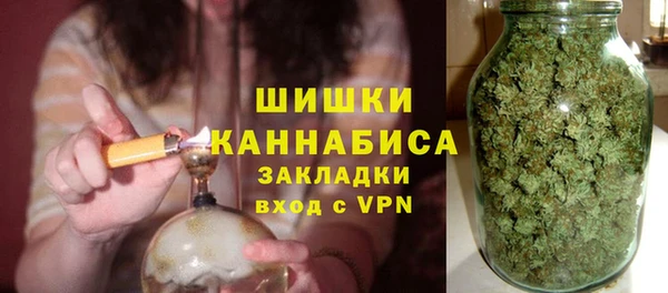 гидра Бородино
